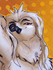 Hooter