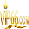 vip66fyi