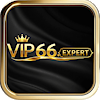 vip66expert