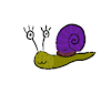 RegguSnail