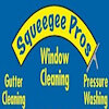 squeegeepros1