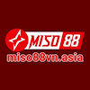 miso88vnasia