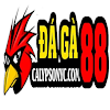 daga88caly