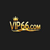 vip66channel