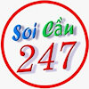 soicau247netnet