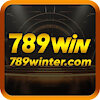 789wintercom