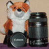 FoxifiedPhotography