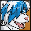 snowredfox
