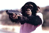 paintmonkey