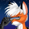 flaggfox