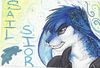 sailsior