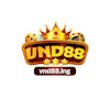vnd88ing