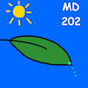 MorningDew202