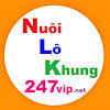 nuoilokhung247vip