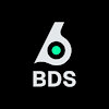 bdsbirdeye