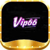 Vip66study
