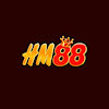 Hm88netcom2