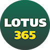 DmLotus365