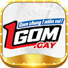 1gomgay