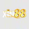 xin88coach