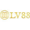 lv88nyccom