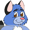 Gato303