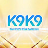 k9k9decom