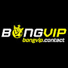 bongvipcontact