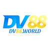 dv88world
