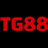 stg88com