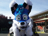 girlyfox