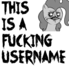 ThisIsAFuckingUsername