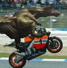 thetacoslave