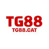 tg88cat