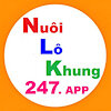 nuoilokhung247app