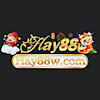 hay88w