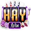 haywin1guru