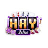 haywin1biz