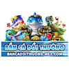 bcdtmexcom