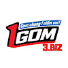 1gom3biz
