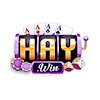 haywin1info
