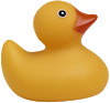 PlasticDuck