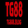 tg888blog