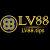 lv88tips