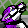 foxfurry45