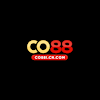 co88icncom