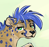Bluebonnet