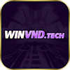 winvndtech
