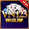 vn123top