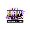 haywin11com